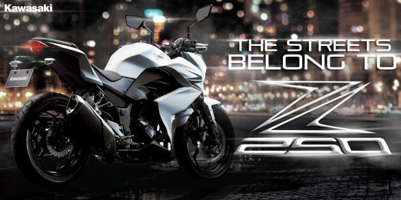 New-Kawasaki-Z250-002