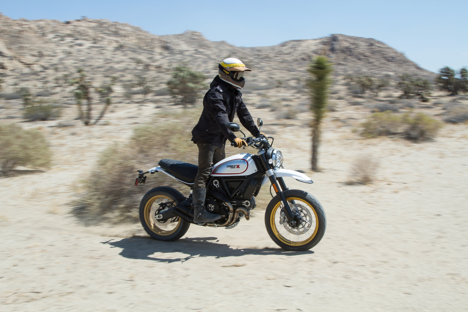 14-DUCATI-SCRAMBLER-DESERT-SLED